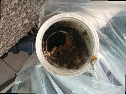 성북구 하수구막힘 배관 내부를 확인하는 점검 장비와 작업 과정